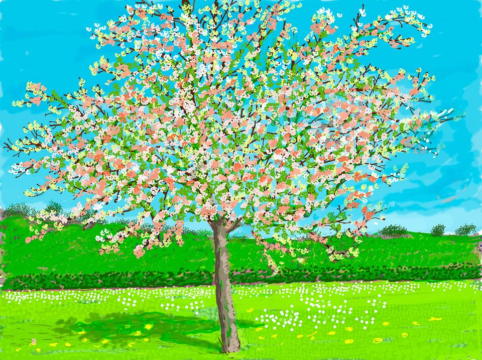 No. 219, 20th April 2020, iPad painting, © David Hockney